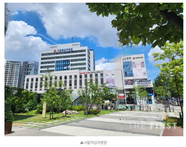 서울적십자병원